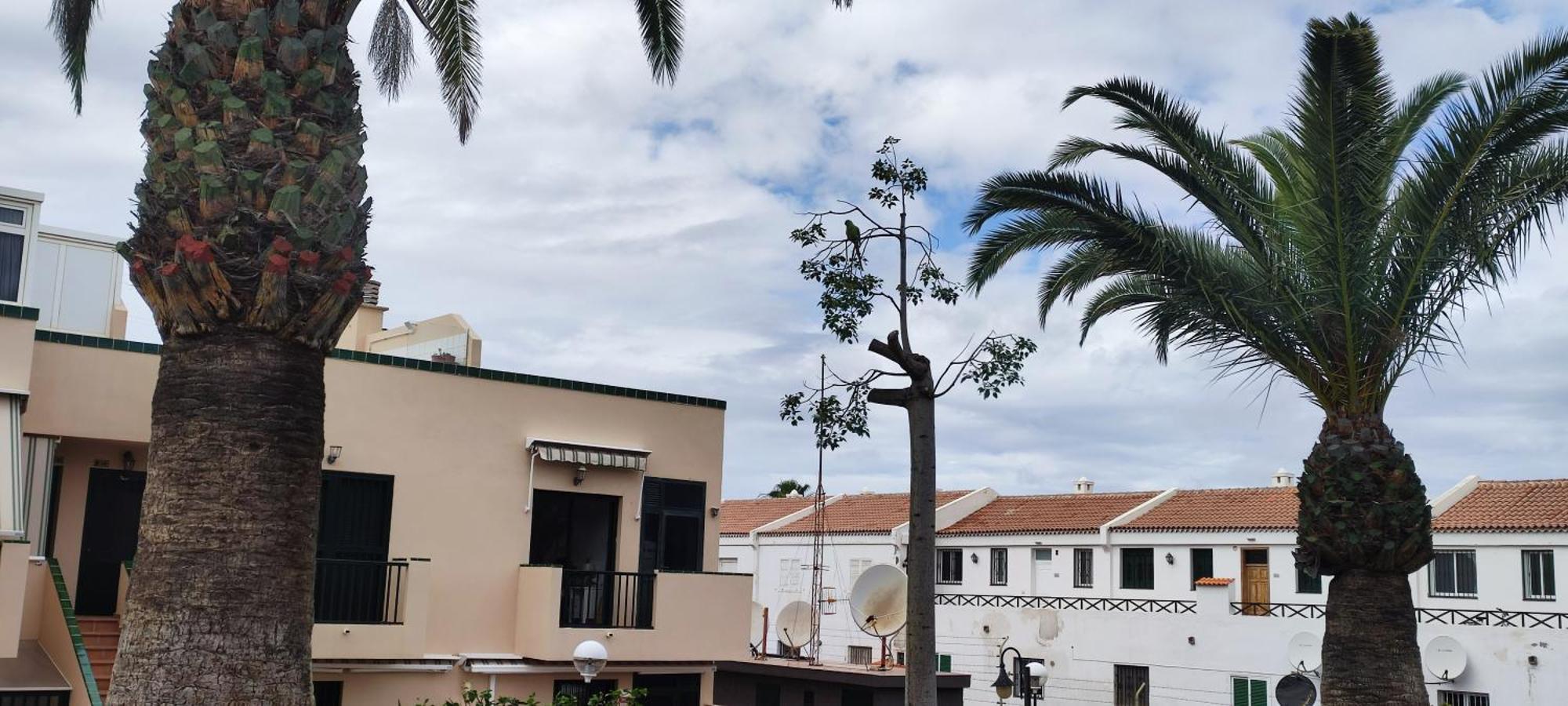 Ferienwohnung Costa Del Silencio Atlantico I Arona  Exterior foto